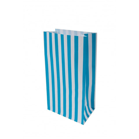 Striped blue and white paper gift bag.