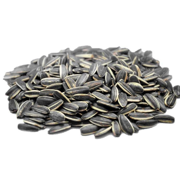 Pile of black sunflower seeds.